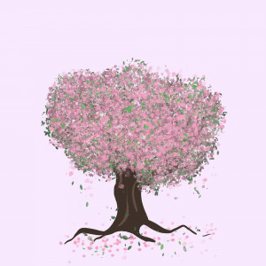 Illustration eines großen blühenden Kirschbaumes auf pastel-rosa Hintergrund