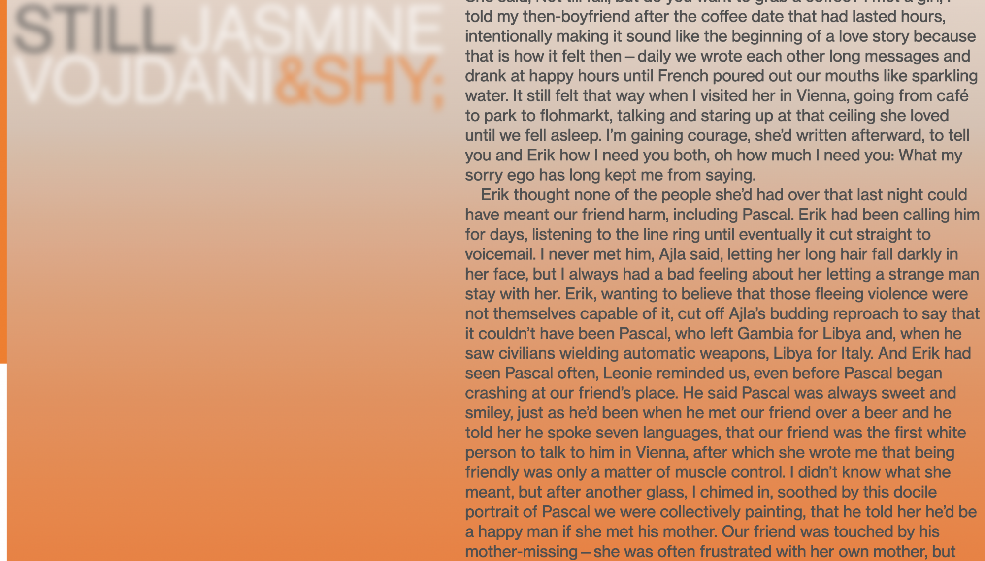 andshy magazine Website