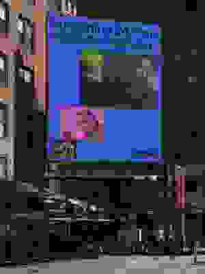 Porto Rocha vevo Plakat